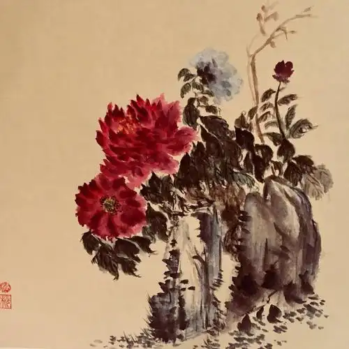 牡丹在山石的衬托下,仪态万千,富而不奢,贵而不骄,艳而不媚!