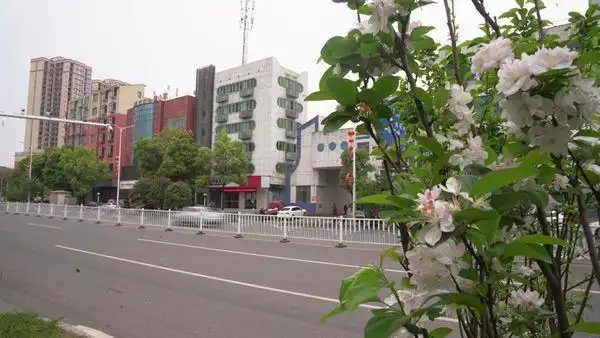 湘潭县莲城道路多风景路边花儿争斗艳