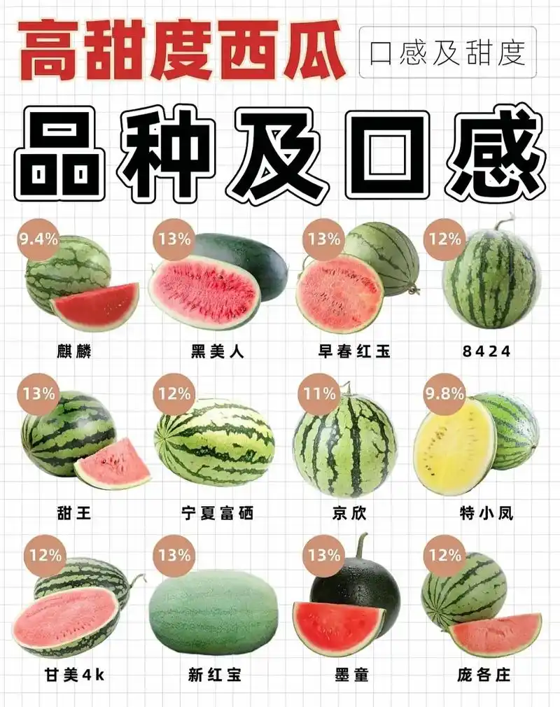 12款常见西瓜甜度大比拼&硬核挑瓜技巧.