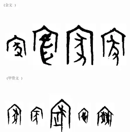 家【甲骨文】 猪油_风闻