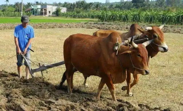 盂县农村这4个证将值50万!看看你家有没有