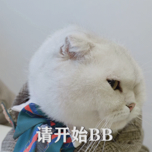 萌宠喵星人请开始说我听着呢憨憨可爱gif动图_动态图_表情包下载_soo