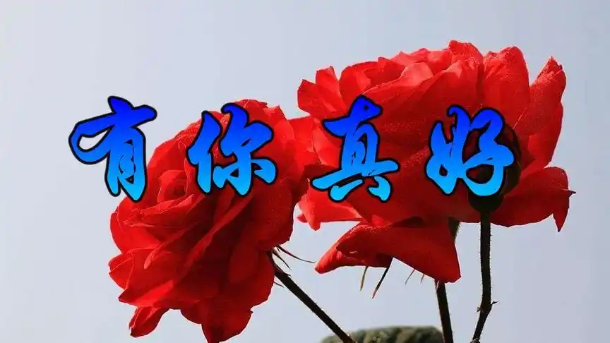 一首新歌亲爱的有你真好送给您,我要跟你牵手到老,一辈子不分离