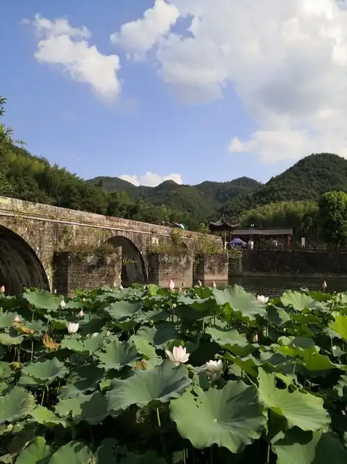 浙江金华浦江休闲游