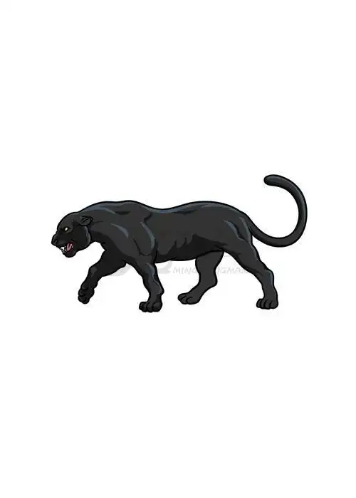 黑豹绘画小教程