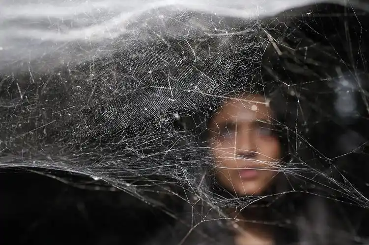 是自然蛛丝的3.5倍 科学家利用石墨烯打造"超级蜘蛛丝"