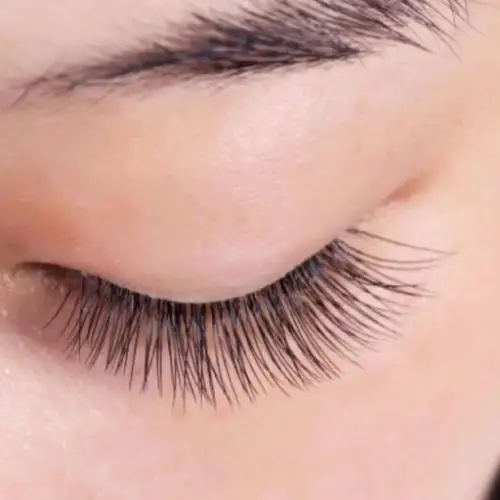 美睫- 自然小飞扬