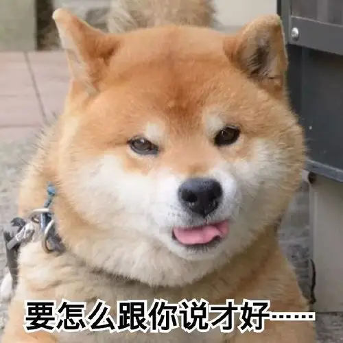 沙雕聊天表情包你最好不要把我逼疯了