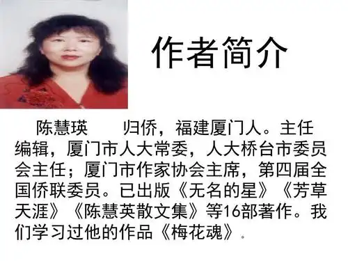 人教版六年级上册第7课《彩色的翅膀》课件ppt