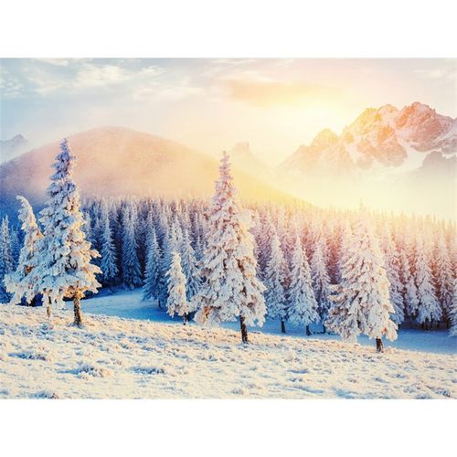 家双誉 风景画海报冬天雪山雪景图片冰山冰川客厅卧室走廊海报装饰 a