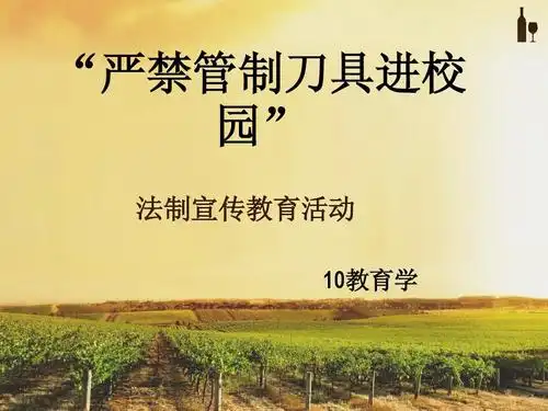 "严禁管制刀具进校 园" 法制宣传教育活动 10教育学