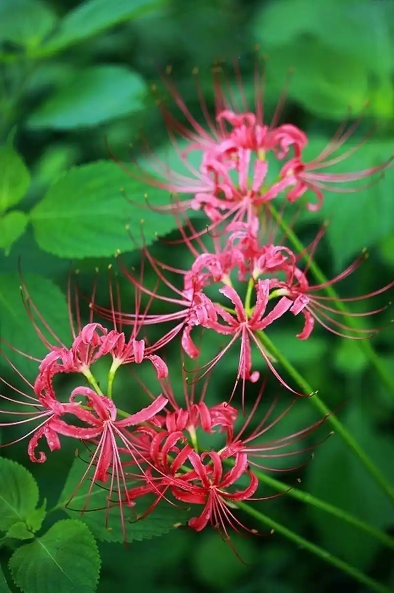 人生最讽刺的是,一个人竟然真的会变成自己曾经最反感的人,活成自己不