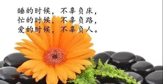 人生感悟的句子图片带字句句深入人心的经典句子