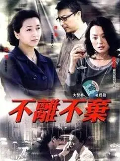 不离不弃剧情(不离不弃剧情分集介绍大结局)不离不弃电视剧大结局 1