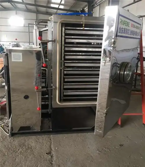 江西松茸真空冷冻干燥机山东派菲克松茸真空冷冻干燥机产量