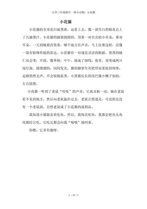 小学三年级描写一种小动物小花猫