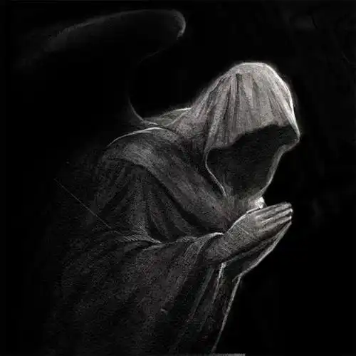 堆糖,美图壁纸兴趣社区