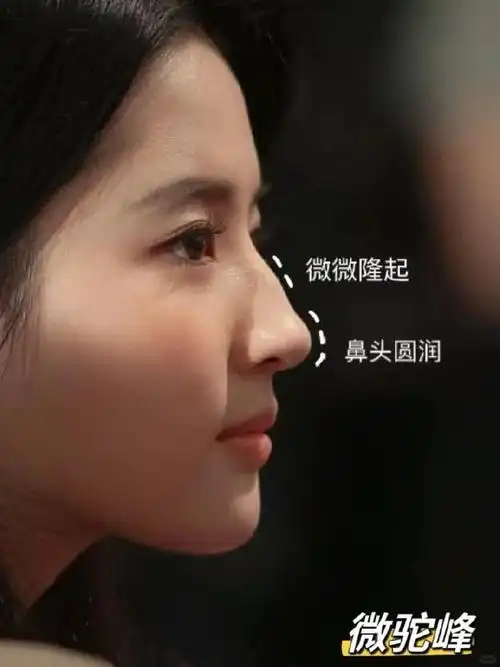 11566直鼻:这种鼻型的代表明星是赵丽颖,山根到笔尖呈直线形态,鼻