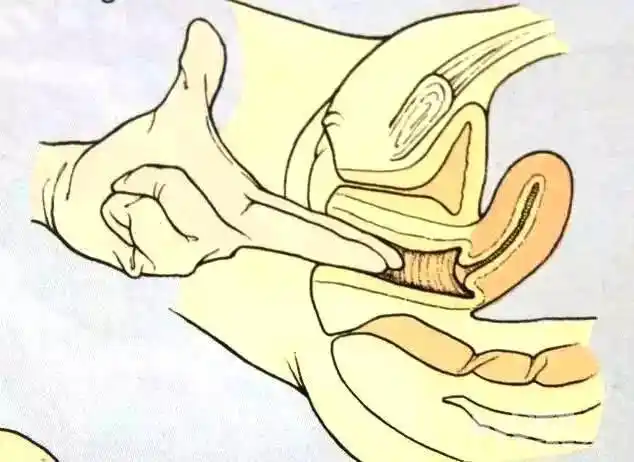 哇!原来开十指是开这么大