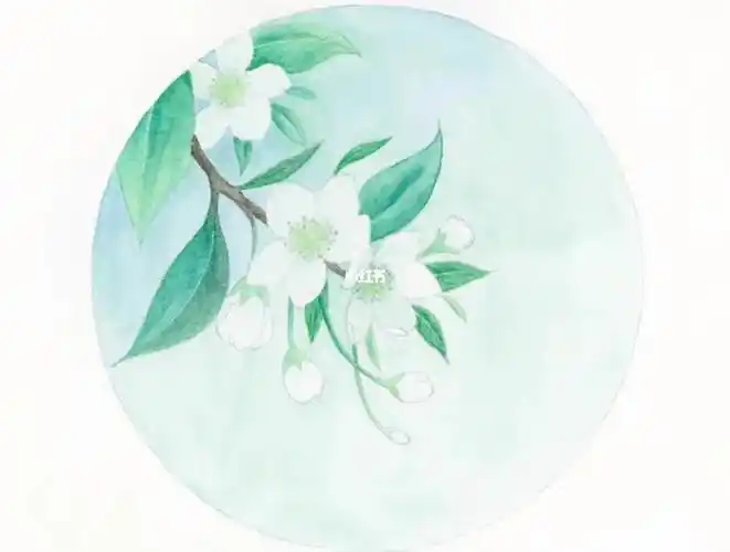 手绘水彩梨花