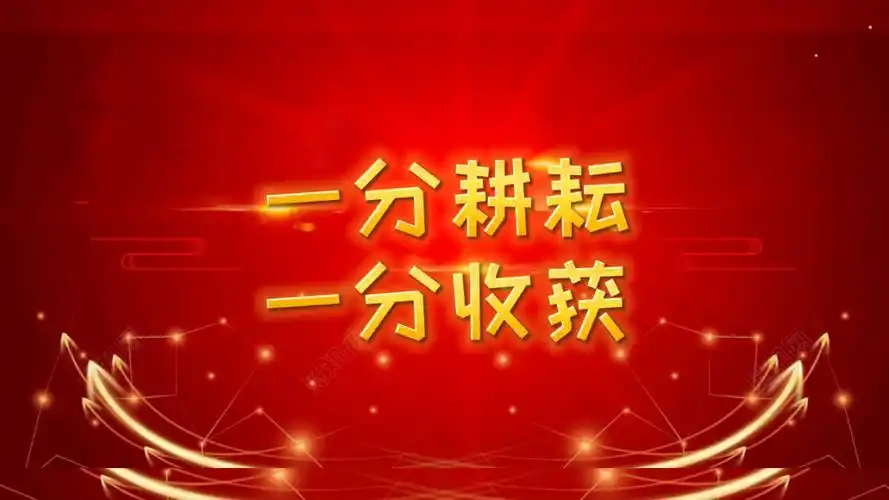 付出总是有收获!