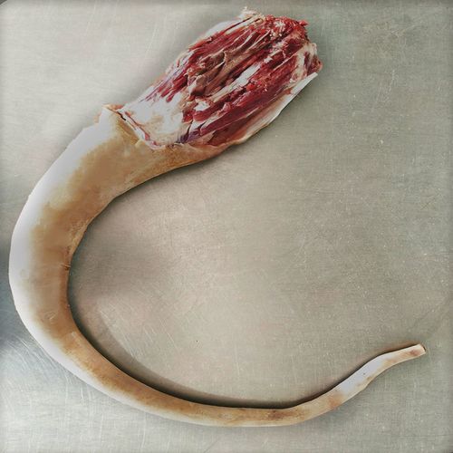 赛卡伊牛尾巴整根带皮带牛尾骨肉现杀原切正宗新鲜整条可称重切段发货