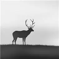 森系鹿头像图片大全 唯美有意境的鹿头像图片大全