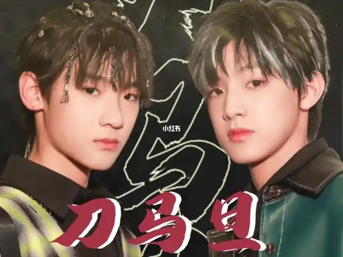 张峻豪张泽禹《刀马旦》