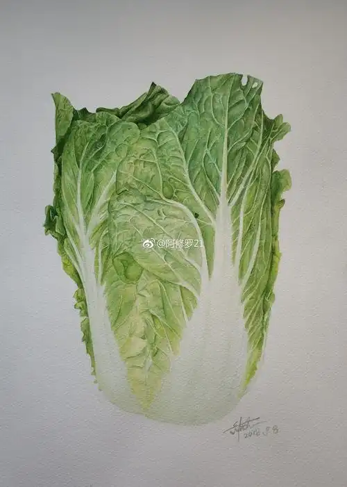 水彩蔬菜