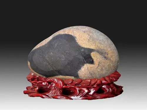 这才是泸州高档次的奇石——国宝级长江奇石中华龙(42*24*16cm)