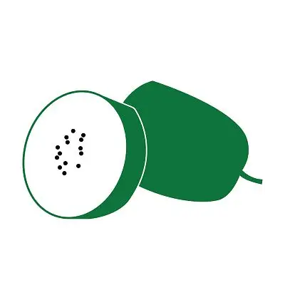 手绘冬瓜切片矢量素材冬瓜蔬菜元素