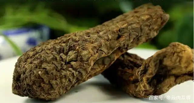 补肾效果最好的十大中药