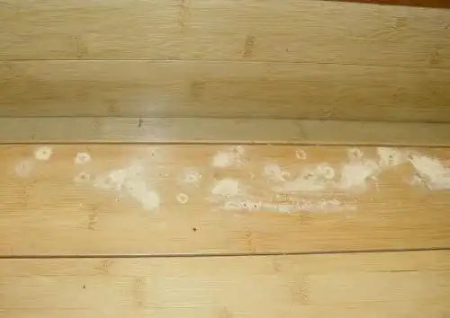 细木粉削,表面上有许多小圆孔或大圆孔,那您的家具有可能受到了粉蠹虫