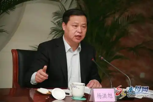 龙口市委书记杨洪旭