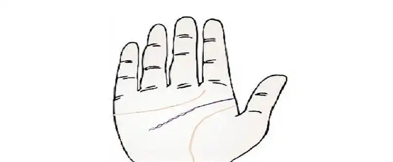 有两条智慧线的人也可能会拥有双重性格,一方面他们对待别人是温和的