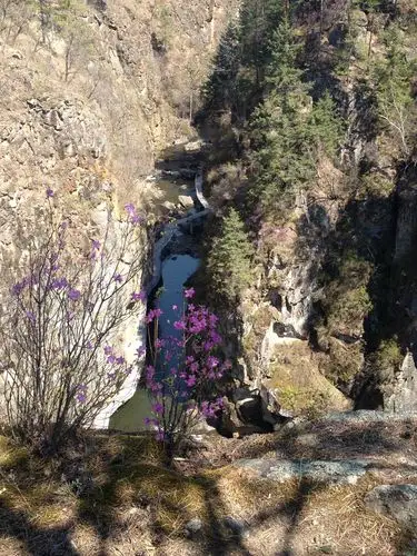 小兴安岭春天中的(四季)