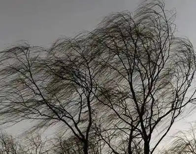 通知丨宁夏气象台发布预警,9级大风又来了!_偏北风