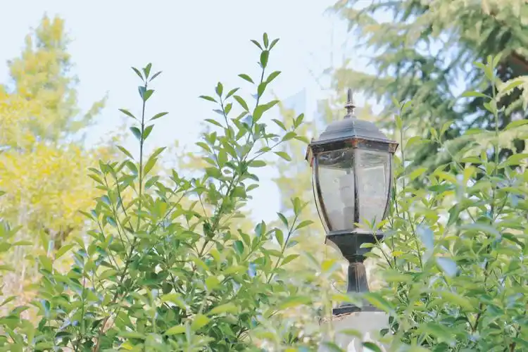 电脑壁纸 锁屏壁纸 壁纸 头像 聊天背景 ins 油画 iphone 【禁商用】