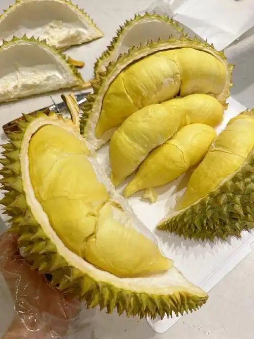 泰国金枕榴莲,榴莲脑袋快来!坏果包赔的