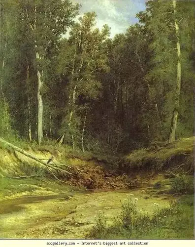 他用一生为森林作画,是最懂森林的画家,是森林歌者