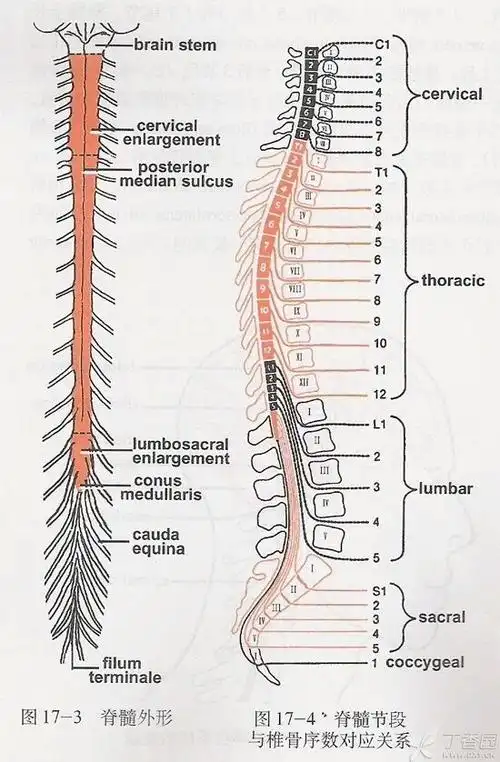 为什么所有的题都写的是第5那?