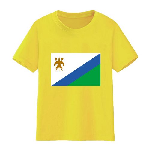 莱索托国旗t恤男童短袖女儿童大中小学生班服运动会比赛球衣少年
