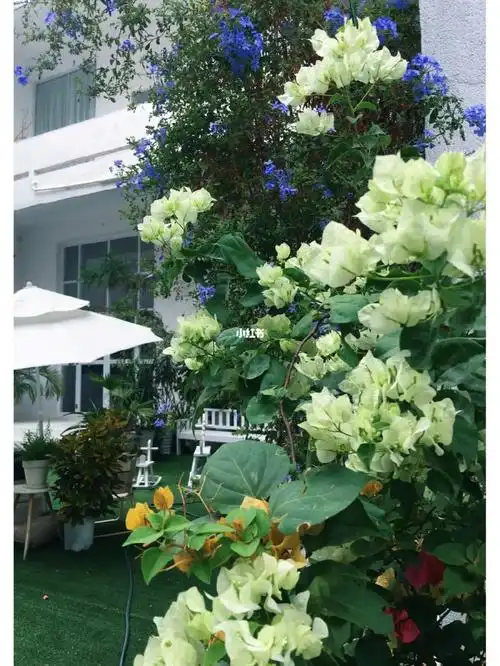 早上10点原相机拍摄