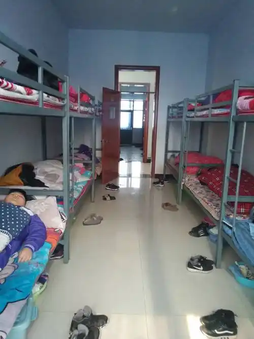 六(8)开学第一天:美味的午餐与安静的午休!