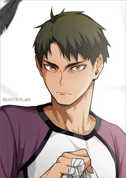 牛岛若利排球少年牛岛若利