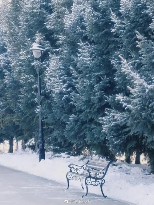 下一个冬天还和大雪人合影    哈尔滨的冬天真的太美了,大雪人也成为