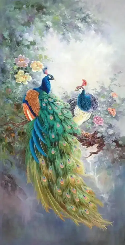 42幅孔雀工笔画