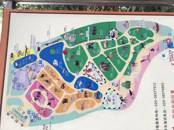 游玩广州动物园