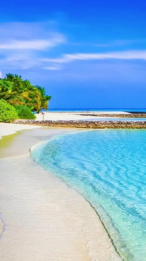 1080_1920竖版 竖屏