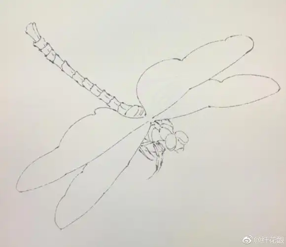 画蜻蜓自己琢磨的画法仅供参考